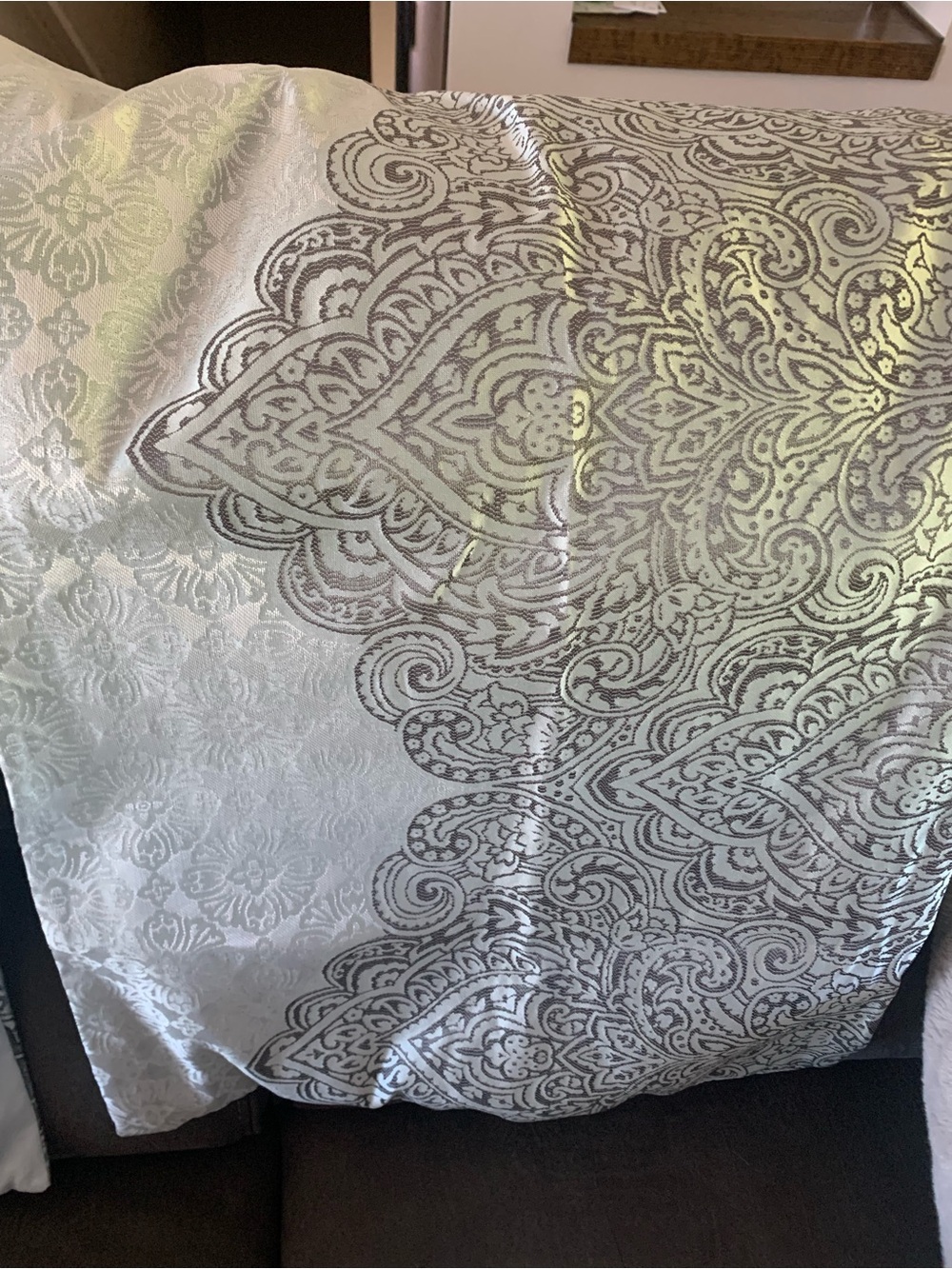 Pillow Shams  Paisley Jacquard Cover - Silver on light Seafoam/blue